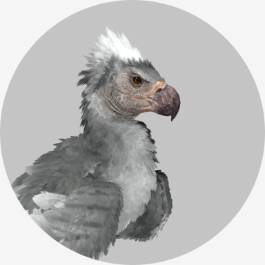 Argentavis