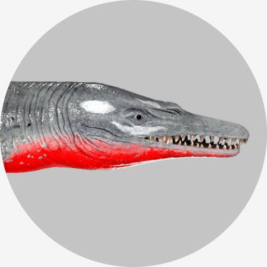 Basilosaurus