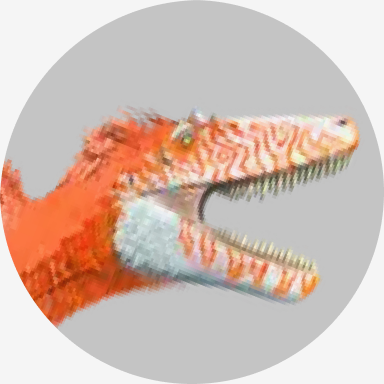 Megaraptor