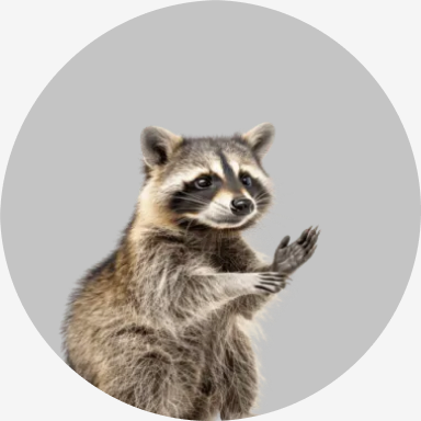 Raccoon